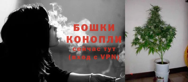 Каннабис OG Kush  Великие Луки 